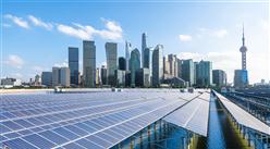 2024年中國光伏膠膜行業市場前景預測研究報告（簡版）