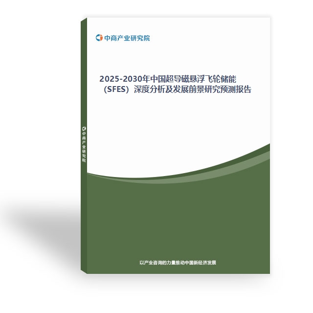 2025-2030年中國超導磁懸浮飛輪儲能（SFES）深度分析及發展前景研究預測報告