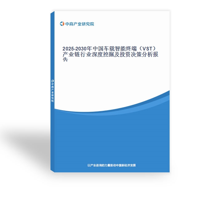 2025-2030年中國車載智能終端（VST）產業鏈行業深度挖掘及投資決策分析報告