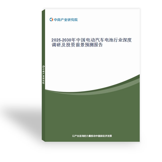 2025-2030年中國電動汽車電池行業深度調研及投資前景預測報告