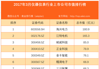 2017年3月国内仪器仪表行业上市公司市值排行榜
