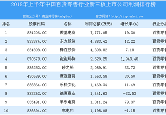2018年上半年中国百货零售行业新三板上市公司利润排行榜