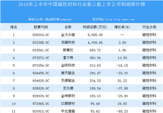 2018年上半年中国磁性材料行业新三板上市公司利润排行榜