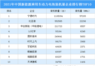 2021年中国新能源乘用车动力电池装机量企业排行榜TOP10