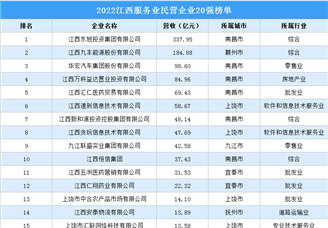 2022江西服务业民营企业20强榜单