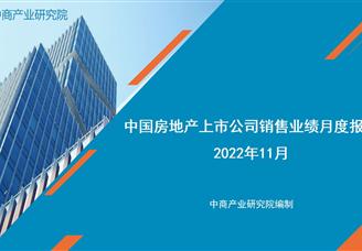 2022年1-11月中国房地产行业经济运行月度报告（完整版）
