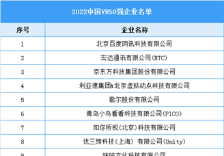 2022中国VR50强企业名单（图）