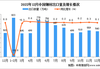2022年12月中国钢材出口数据统计分析