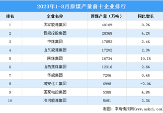 2023年1-8月原煤产量前十企业排行榜（附榜单）