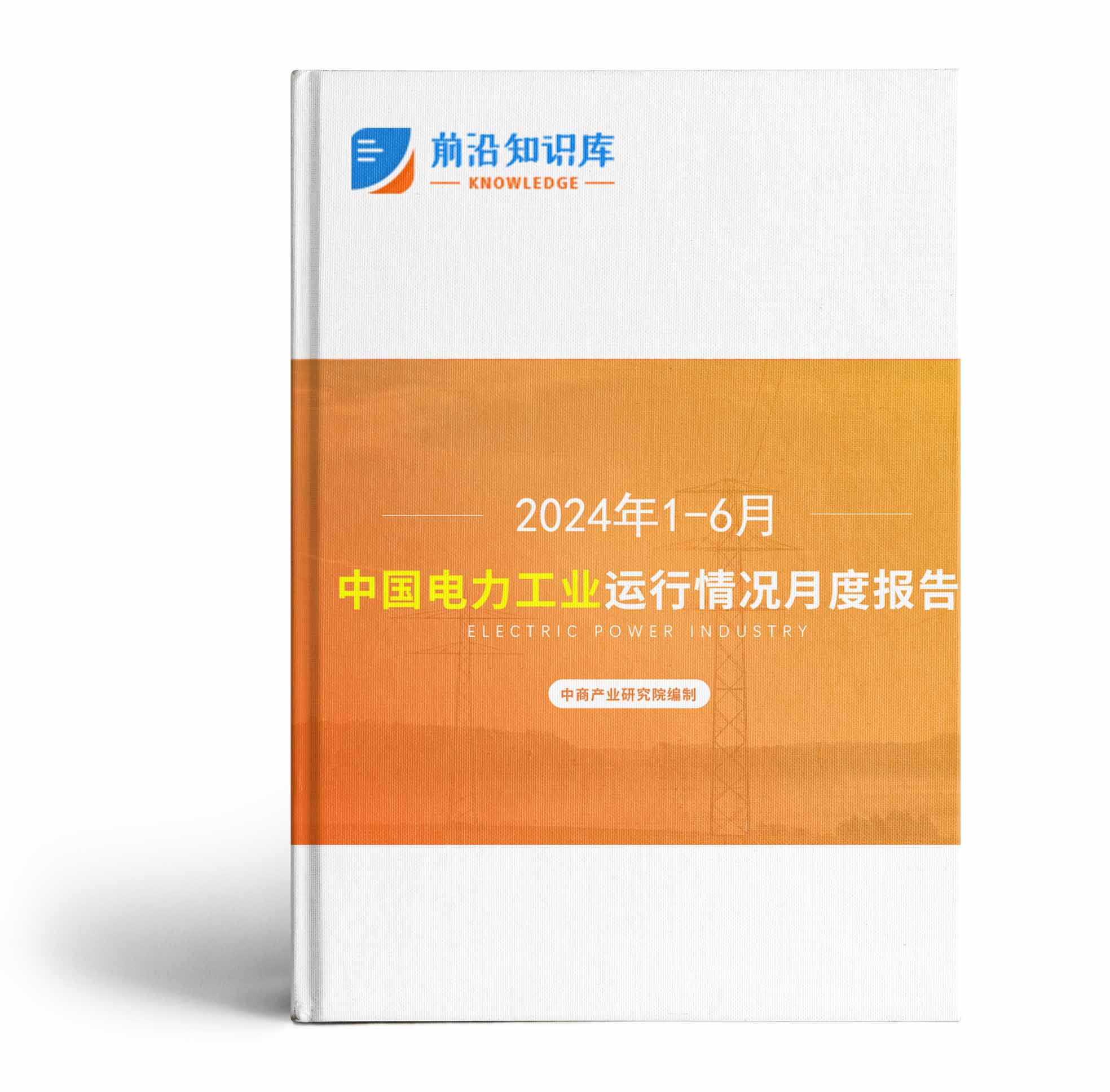 中国电力工业运行情况月度报告（2024年1-6月）