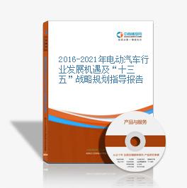 2019-2023年电动汽车行业发展机遇及“十三五”战略规划指导报告